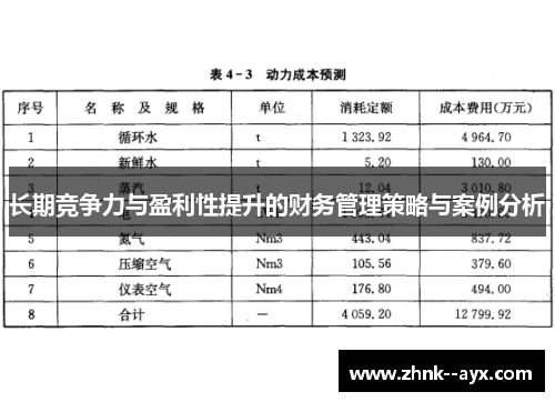 长期竞争力与盈利性提升的财务管理策略与案例分析 长期竞争力与盈利性提升的财务管理策略与案例分析