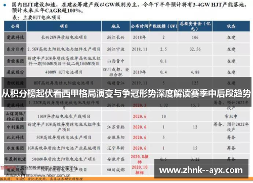 从积分榜起伏看西甲格局演变与争冠形势深度解读赛季中后段趋势
